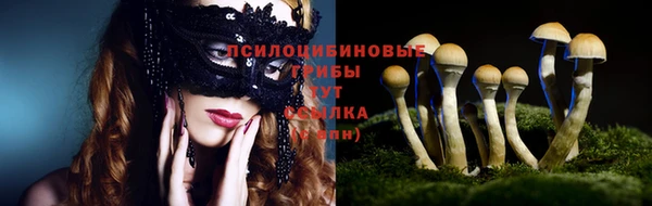 Альфа ПВП Ельня