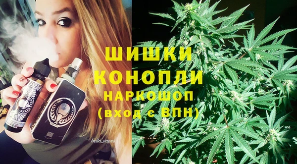 Альфа ПВП Ельня