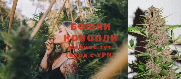 Альфа ПВП Ельня