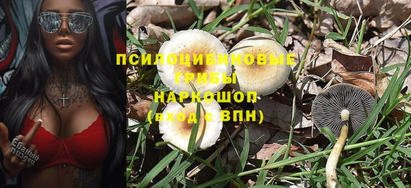 Альфа ПВП Ельня